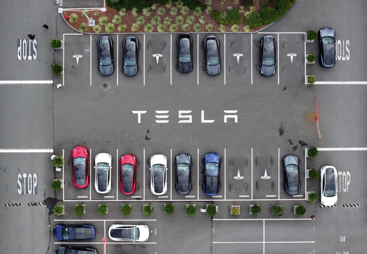 Tesla sues California Department of Motor Vehicles